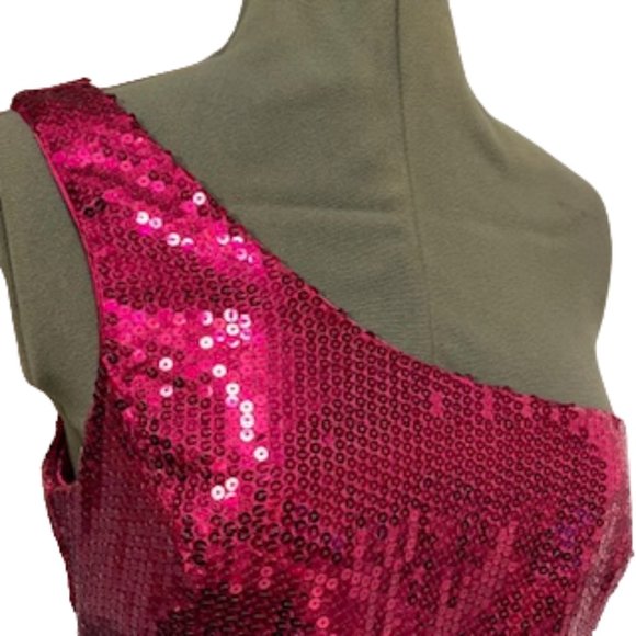 FOREVER 21 Hot Pink Fitted Sequin Dress Size Large NWT (Partial Tag) - Picture 6 of 16